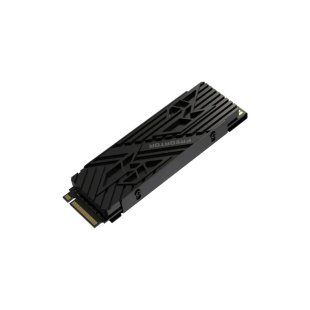 Накопитель SSD M.2 2280 1TB GM7000 Heatsink Acer Predator (BL.9BWWR.122)
