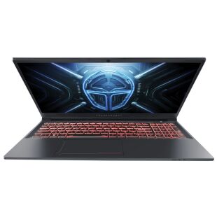 Ноутбук Thunderobot R16 (R16-i7136HX56C1Q180RG)