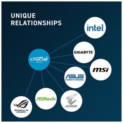 Модуль памяти для компьютера DDR5 32GB 4800 MHz Micron (CT32G48C40U5) - Нулевой остаток (Feed) - Нулевой остаток (Feed)