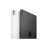 Планшет Apple iPad Pro 13" M5 Wi‑Fi + Cellular 512GB with standard glass - Space Black (ME7Y4TY/A)