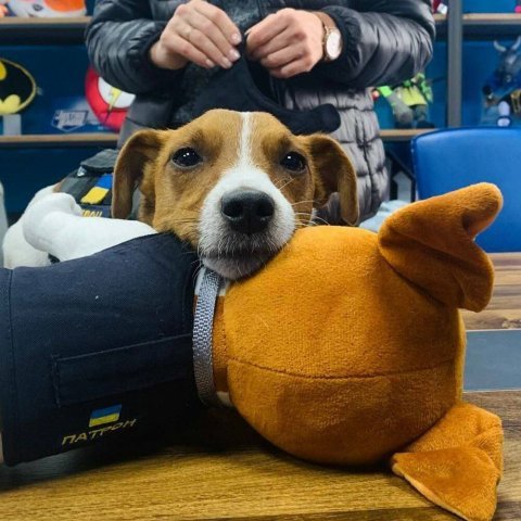 Іграшка плюшева WP MERCHANDISE пес Патрон - -