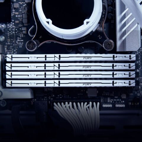 Модуль памяти для компьютера DDR5 32GB 6000 MHz Beast EXPO White Kingston Fury (ex.HyperX) (KF560C36BWE-32) - Нулевой остаток (Feed) - Нулевой остаток (Feed)