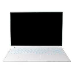 Ноутбук Thunderobot RS16 (RS16-I9139HX56E1Q240ARC)