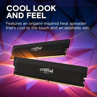 Модуль памяти для компьютера DDR5 16GB 6000 MHz Pro Overclocking Micron (CP16G60C36U5B)