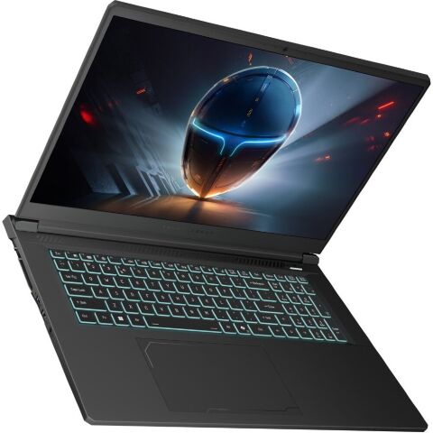 Ноутбук Thunderobot 911 X17 (911X17-i7136H56C1Q165MB) - Ноутбуки - Ноутбуки
