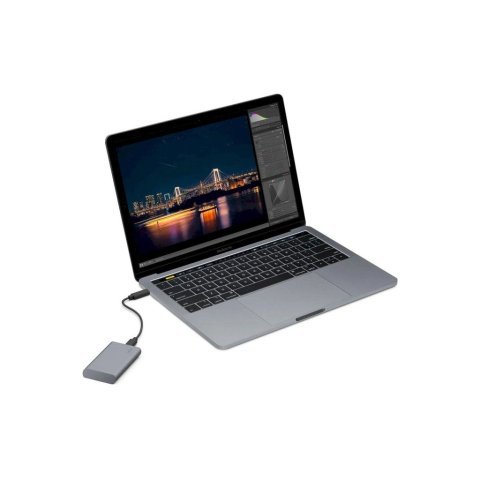 Накопитель SSD USB Type-C 1TB Mobile Secure LaCie (STKH1000800) - Нулевой остаток (Feed) - Нулевой остаток (Feed)