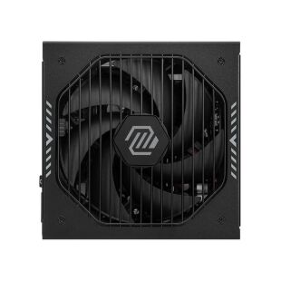 Блок питания MSI 1000W MAG A1000GLS PCIE5 (MAG A1000GLS PCIE5)
