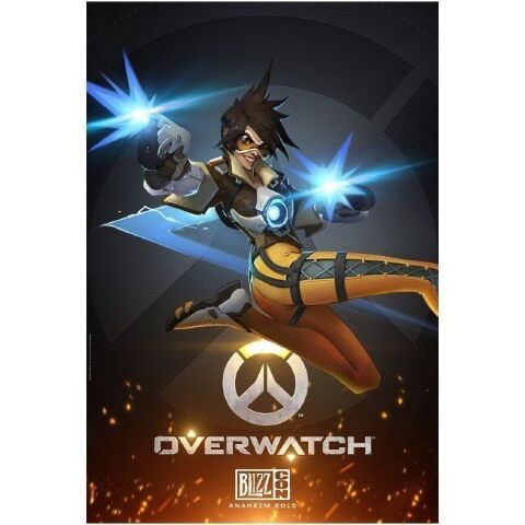 Плакат фірмовий Blizzard Overwatch Tracer Poster - -