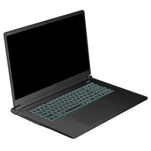 Ноутбук Thunderobot 911 X17 (911X17-i7136H56C1Q165MBD)