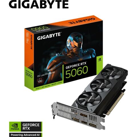 Видеокарта GIGABYTE GeForce RTX5060 8Gb OC Low Profile (GV-N5060OC-8GL) - Видеокарты  - Видеокарты 