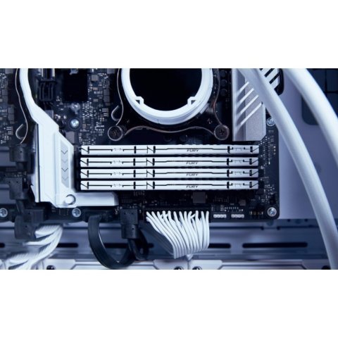 Модуль памяти для компьютера DDR5 32GB 5200 MHz Beast EXPO White Kingston Fury (ex.HyperX) (KF552C36BWE-32) - Нулевой остаток (Feed) - Нулевой остаток (Feed)