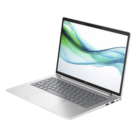 Ноутбук HP ProBook 445 G11 (8Z9P8AV_V2) - Нулевой остаток (Feed) - Нулевой остаток (Feed)